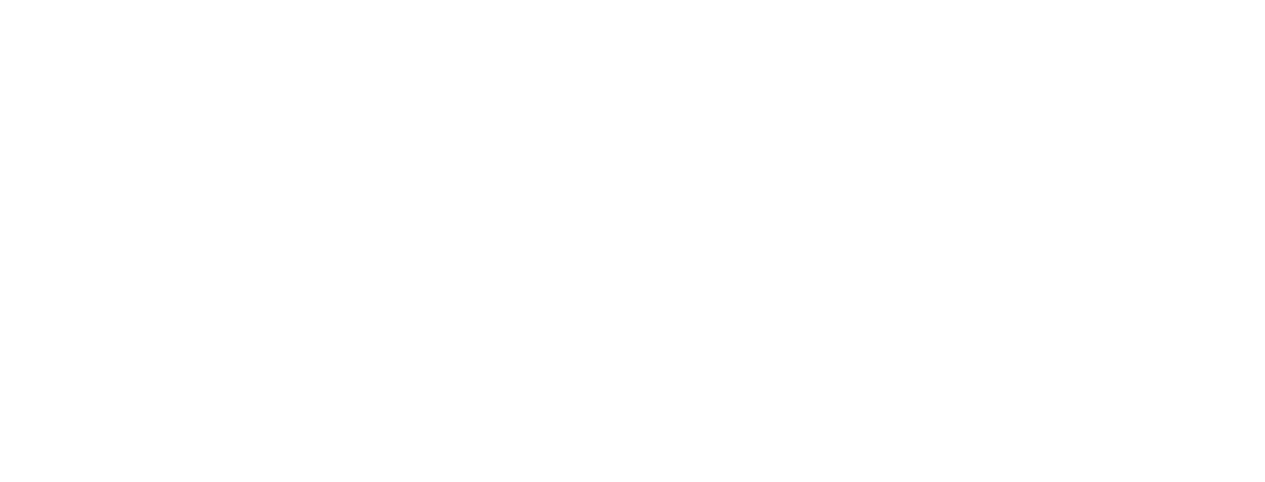 PROTOCOLO ZERO